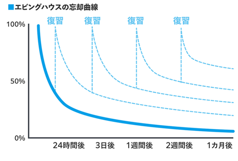 エビングハウスの忘却曲線