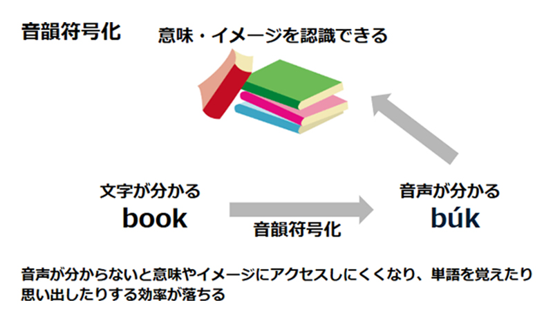 音韻符号化 文字がわかる → 音韻符号化 → 音声がわかる → 意味・イメージを認識できる 音声が分からないと意味やイメージにアクセスしにくくなり、単語を覚えたり思い出したりする効率が落ちる