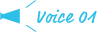 voice01