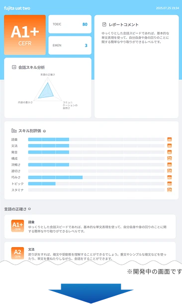 9スキル診断結果（開発中の画面）のイメージ