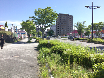東広島校の道順4