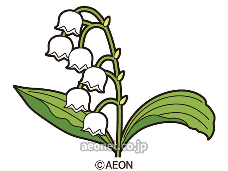 花の名前を英語で言ってみよう スクールブログ 千里中央校 豊中市 子供英会話教室 Aeon Kids