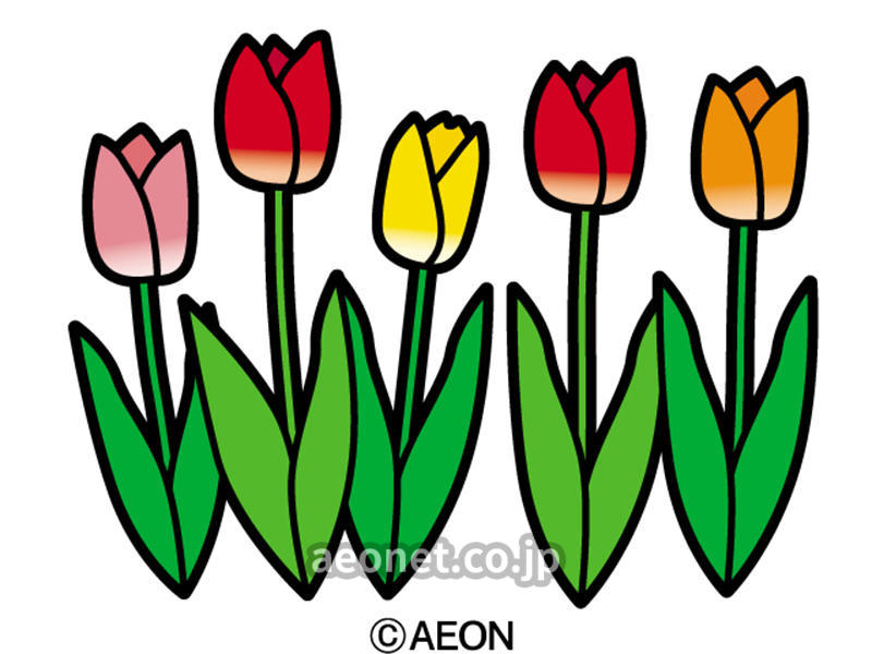 花の名前 英語で言ってみよう スクールブログ 高崎モントレー校 高崎市 子供英会話教室 Aeon Kids