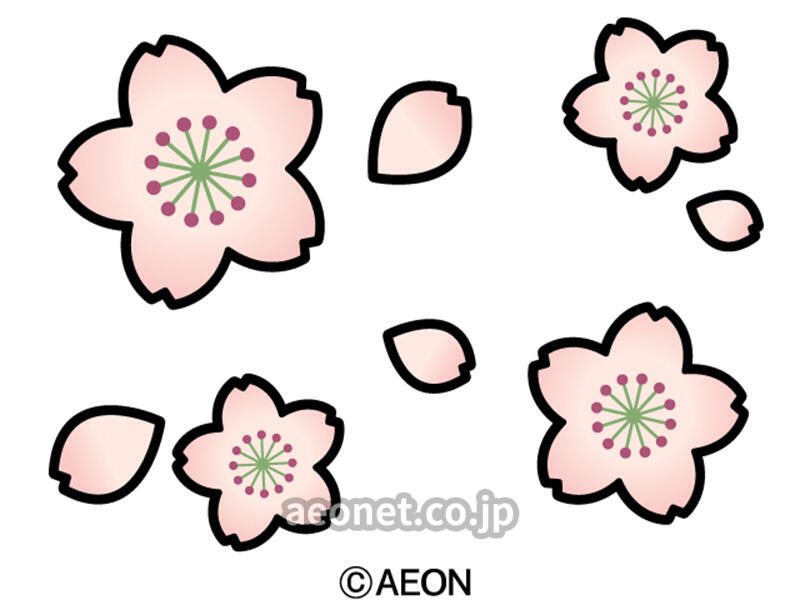 桜がきれいだね 英語で何ていう スクールブログ 溝の口ノクティプラザ校 川崎市溝の口 英会話教室 Aeon