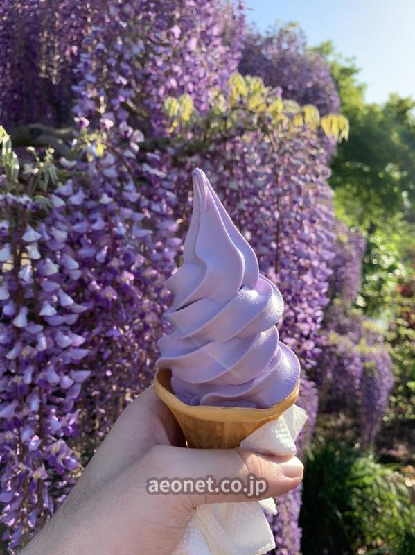 美しい景色と 藤味のソフトクリームを堪能 スクールブログ 宇都宮校 宇都宮市 英会話教室 Aeon