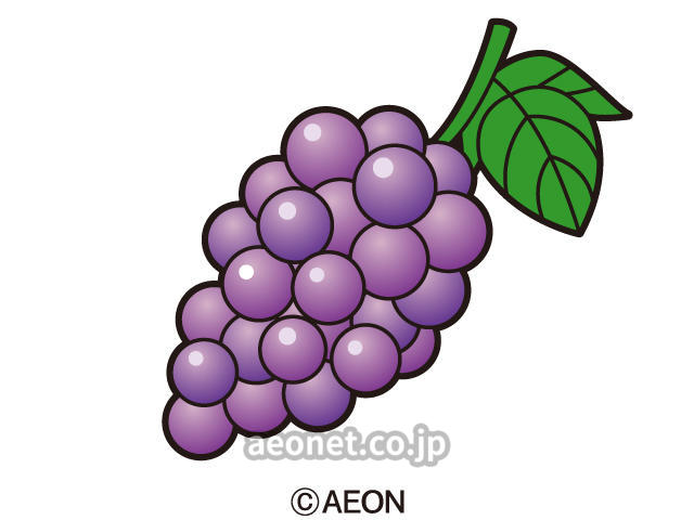 9月のおいしい果物 英語で何て言う スクールブログ 仙台ロフト校 仙台駅前 子供英会話教室 Aeon Kids